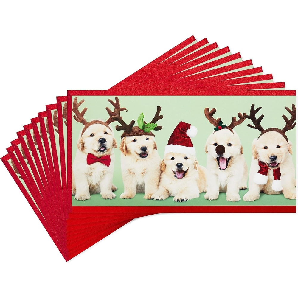 image:imageHallmark Christmas Money or Gift Card Holders 10 Cards with Envelopes Golden Retriever PuppiesPuppies in Santa Hats  Pack of Money Holders