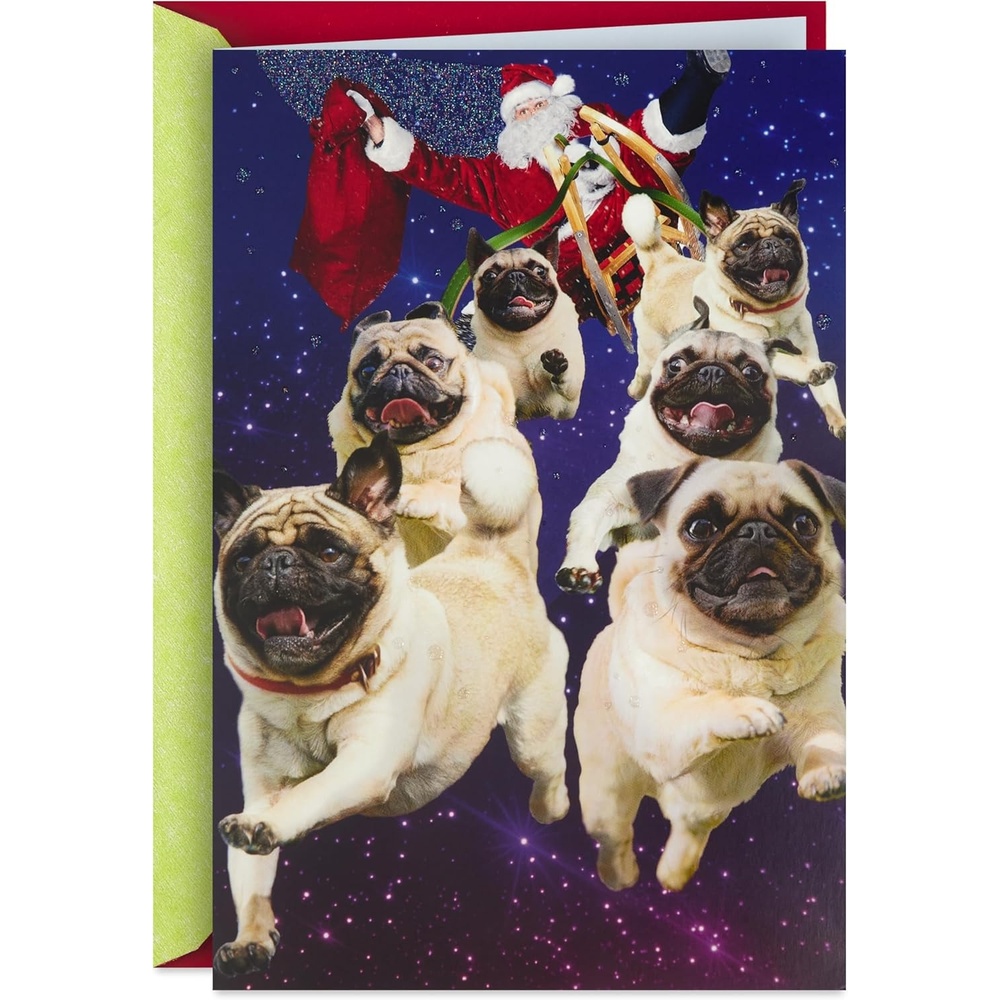 image:imageHallmark Musical Christmas Card for Family Santa and Flying Pugs