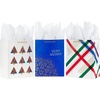1 count (Pack of 3)