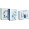 1 count (Pack of 3)