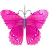2023 Brilliant Butterflies