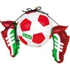 2025 Soccer Star