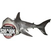 Shark Week