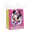 Minnie Mouse Any Occasion