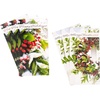 Wreath and Berries
