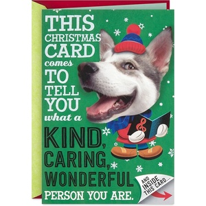 Hallmark Christmas Card (Playful Dog, Card Inside Design)(Card Inside Card  Playful Dog)