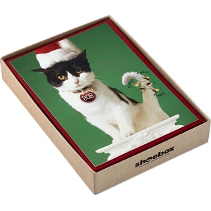 Hallmark Shoebox Funny Christmas Boxed Cards Assortment, Cartoons (4 Designs, 24 Christmas Cards with Envelopes)(Multicolor)