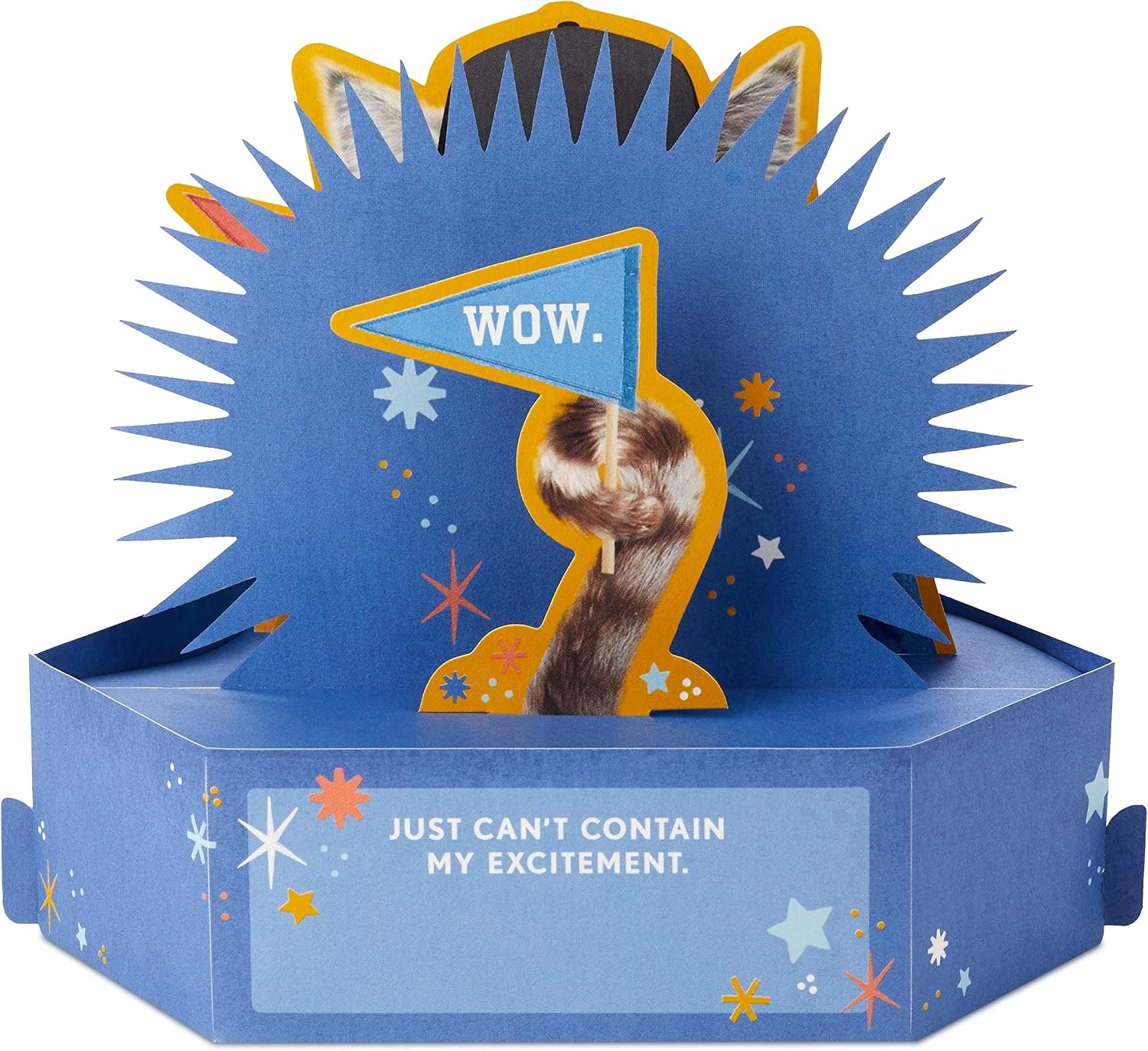 image:imageHallmark Funny Pop Up Birthday Card Grouchy Cat Paper Wonder Shoebox 3D CardGrouchy Cat