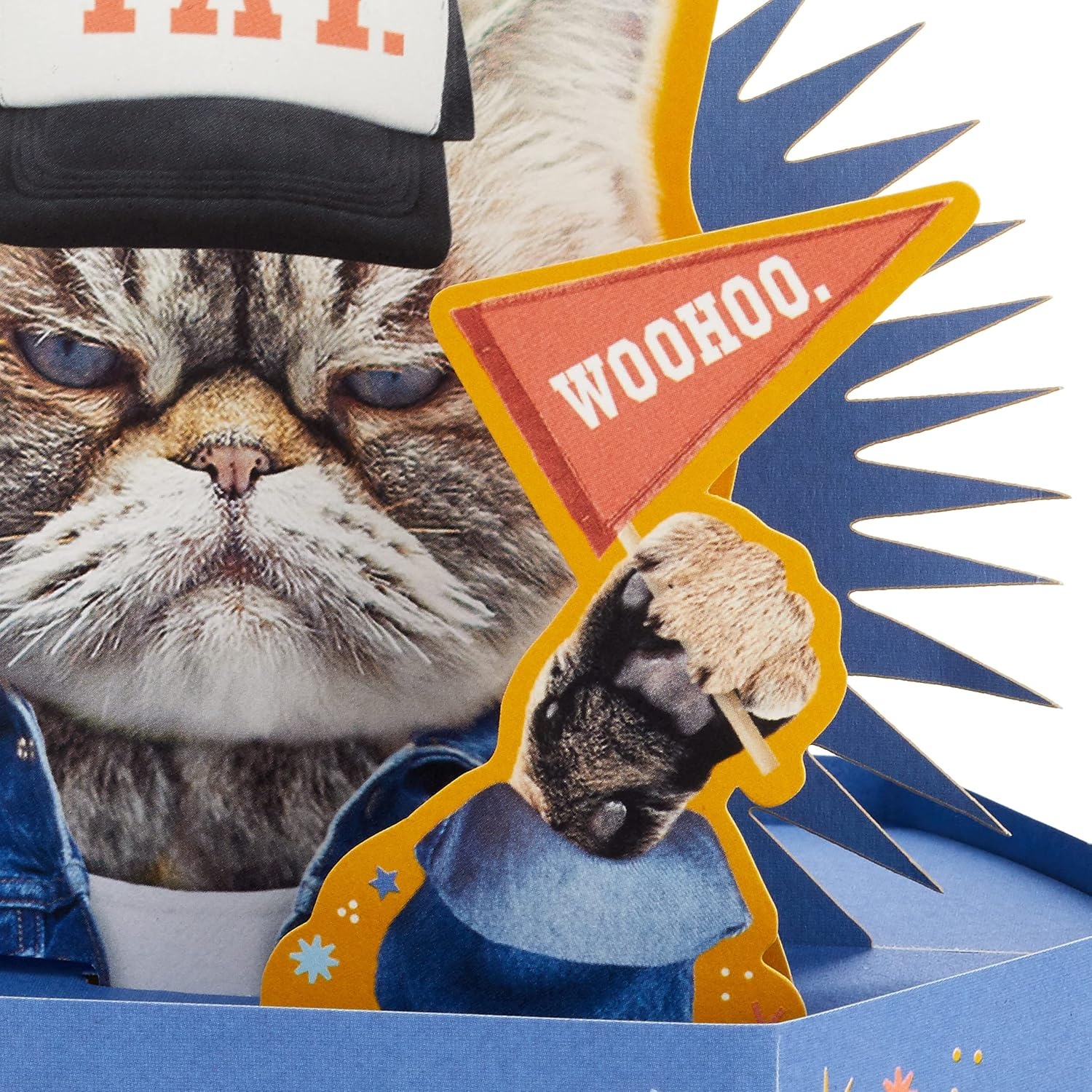 image:imageHallmark Funny Pop Up Birthday Card Grouchy Cat Paper Wonder Shoebox 3D CardGrouchy Cat