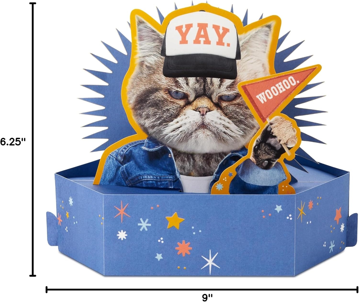 image:imageHallmark Funny Pop Up Birthday Card Grouchy Cat Paper Wonder Shoebox 3D CardGrouchy Cat
