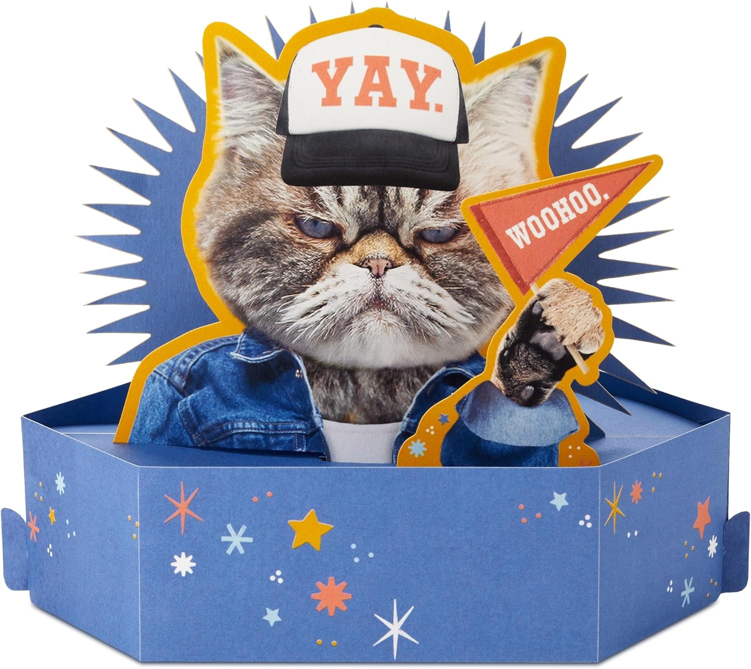 image:imageHallmark Funny Pop Up Birthday Card Grouchy Cat Paper Wonder Shoebox 3D CardGrouchy Cat