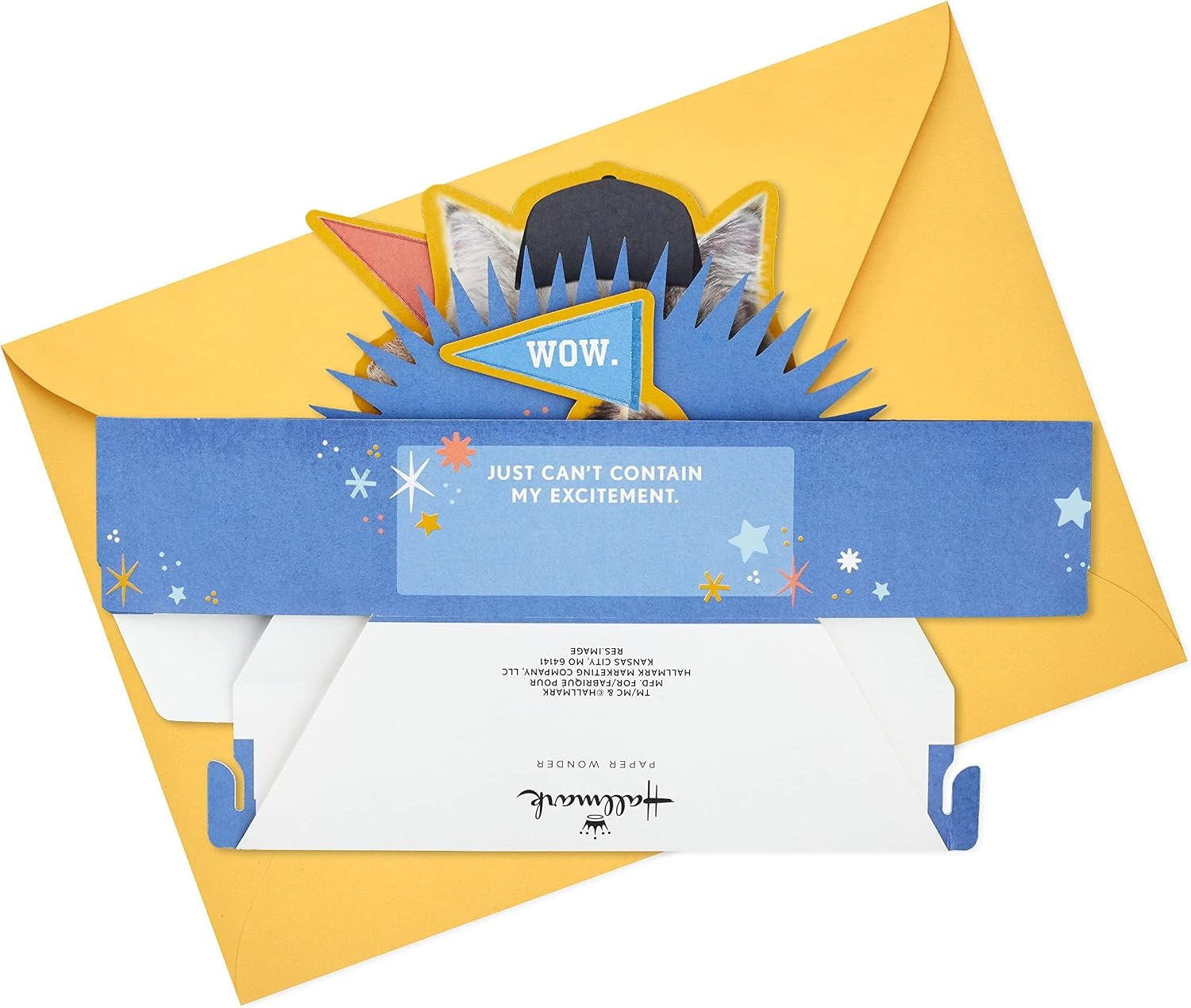 image:imageHallmark Funny Pop Up Birthday Card Grouchy Cat Paper Wonder Shoebox 3D CardGrouchy Cat