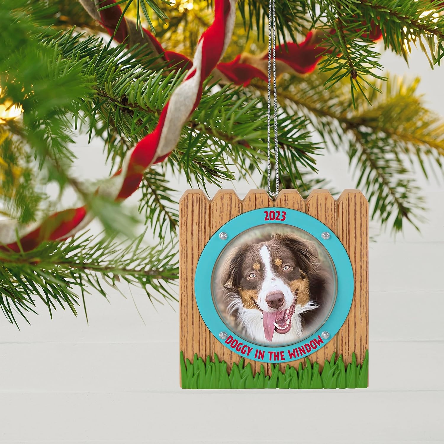 image:imageHallmark Keepsake Christmas Ornament Reindoggie Gifts for Dog LoversDoggy in the Window