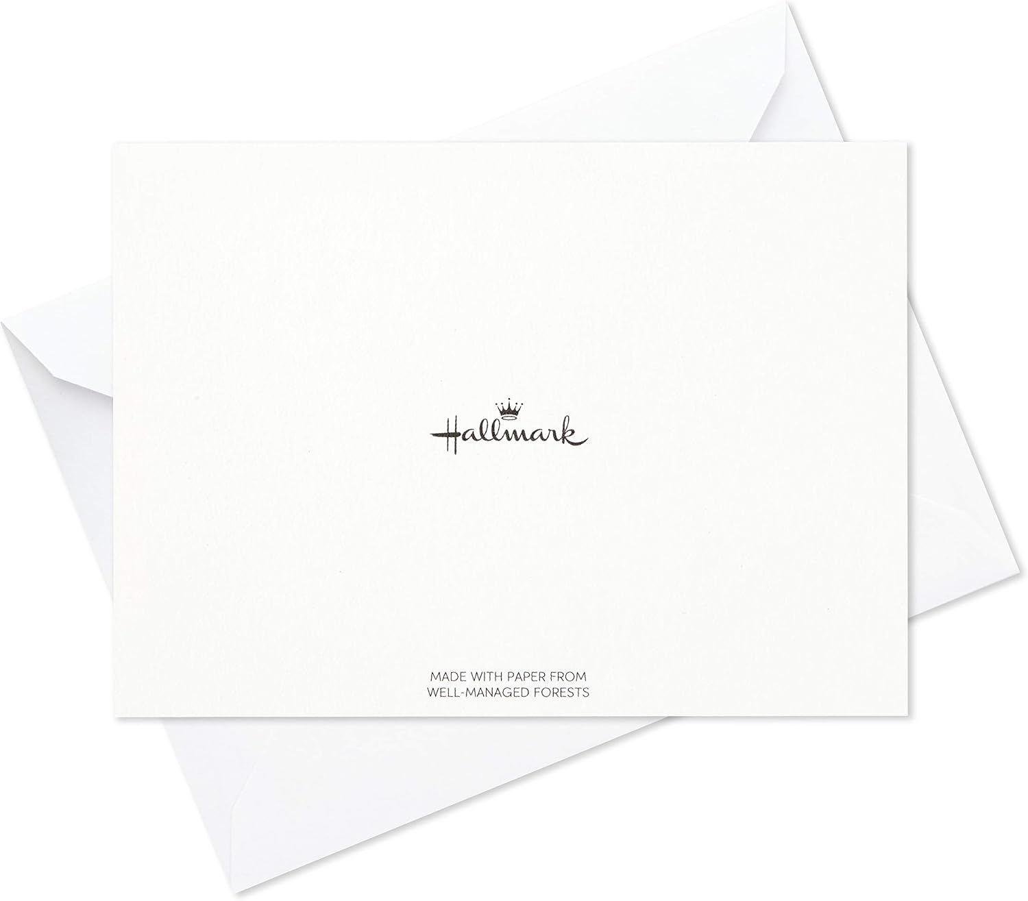 image:imageHallmark Thank You Cards Assortment Red Green Blue Black Orange 50 Cards for Business Weddings Baby Showers Bridal Showers All OccasionMulticolor