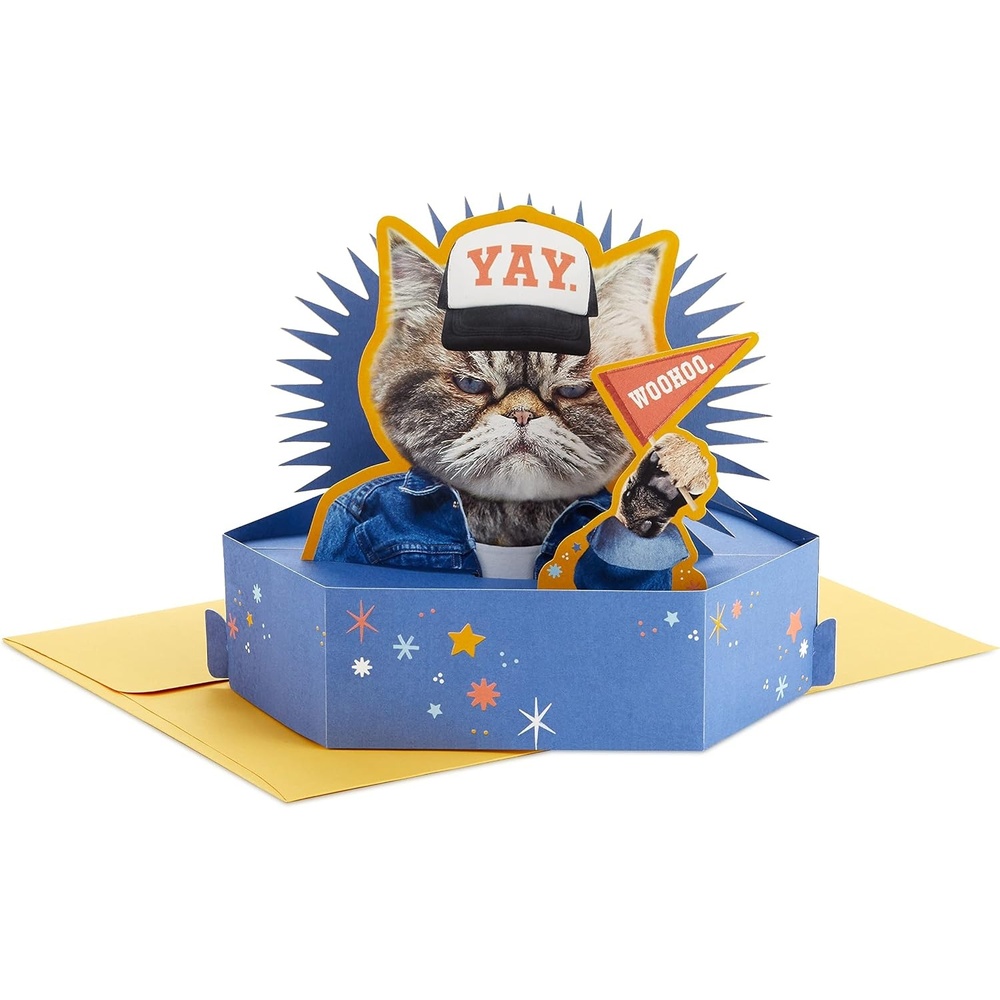 image:imageHallmark Funny Pop Up Birthday Card Grouchy Cat Paper Wonder Shoebox 3D CardGrouchy Cat
