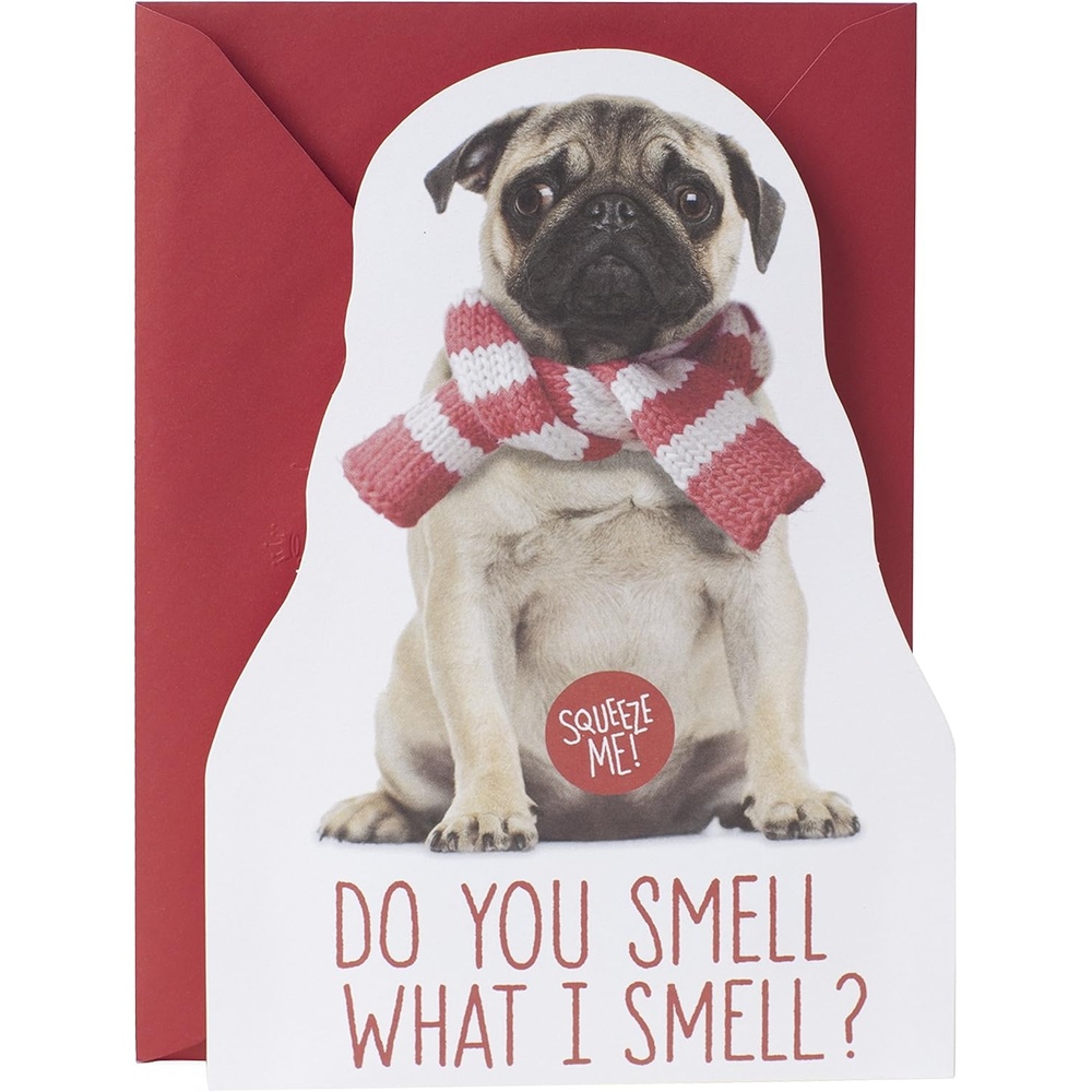 image:imageHallmark Musical Christmas Card Dogs We Wish You a Merry ChristmasFarting Pug