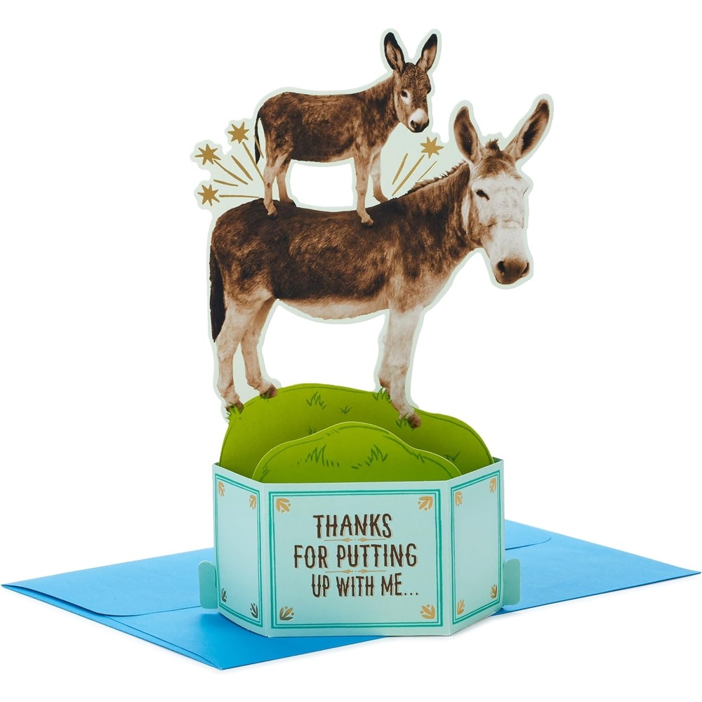 image:imageHallmark Paper Wonder Shoebox Funny Fathers Day Pop Up Card for Him 3D Beer vs Coffee Diorama Birthday Card for Dad Husband BrotherDonkeys  Pain in the
