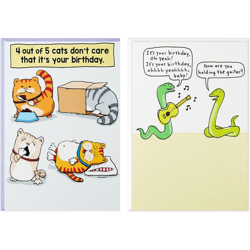 image:imageHallmark Shoebox Funny Birthday Card Too Old for TikTokCats Dont Care  Dont Think Too Hard