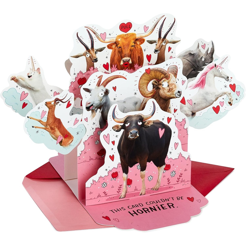 image:imageHallmark Shoebox Funny Love Card All Night Long for Anniversary Romantic Birthday Just Because and MorePop Up  Horny Animals