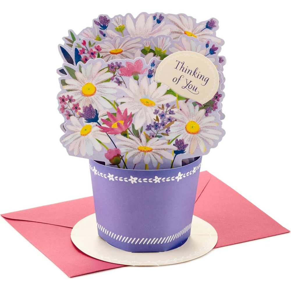 image:imageHallmark Signature Blank Card Accordion Fold Flowers Display for Birthday Thinking of You Thank You Anniversary All OccasionPop Up  Displayable Daisy Bouquet
