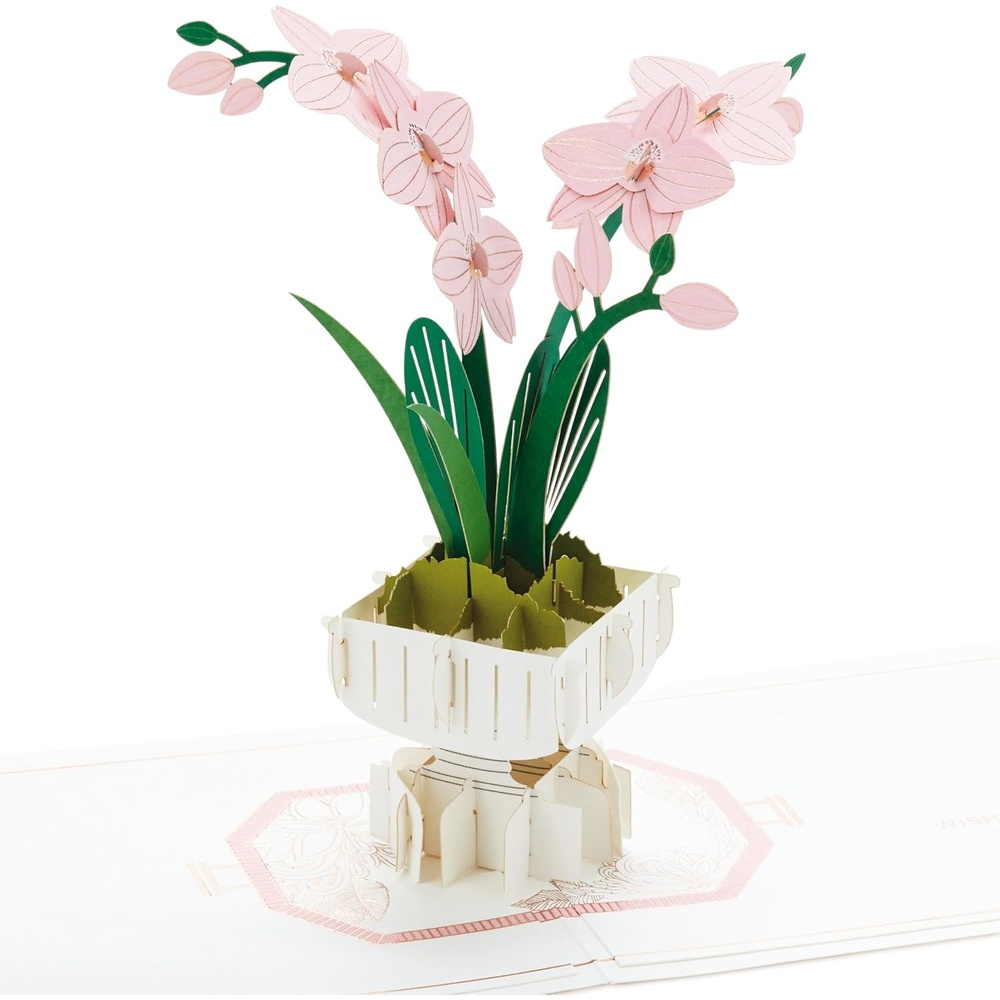 image:imageHallmark Signature Blank Card Greenhouse DieCut for Thinking of You Encouragement Birthday Thank You All OccasionPop Up  Orchid
