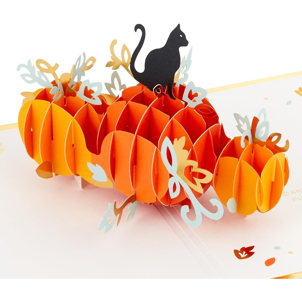 image:imageHallmark Signature Paper Wonder Halloween PopUp Card Black Cat on Pumpkin for Kids Grandchildren Niece Nephews Teachers FriendsBlack Cat on Pumpkin