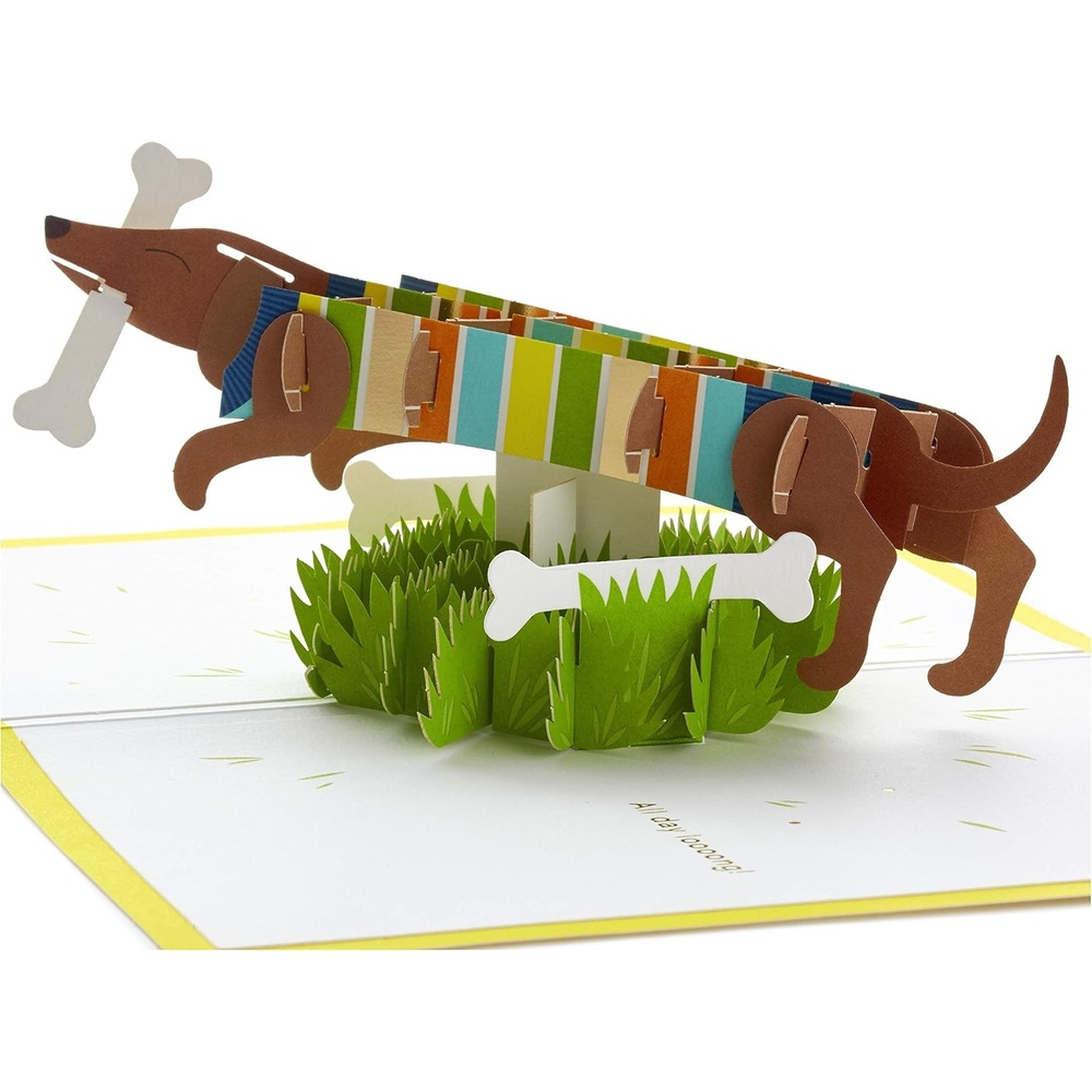 image:imageHallmark Signature Paper Wonder Peanuts Pop Up Birthday Card CelebratePop Up  Dachshund  Happy All Day Long