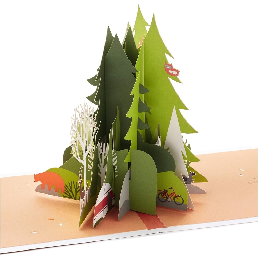 image:imageHallmark Signature Paper Wonder Pop Up Birthday Card SailboatPop Up  Adventure Awaits