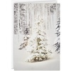 Snowy