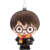 Harry Potter Glass