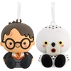 Harry Potter & Hedwig