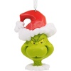 Grinch in Santa Hat