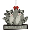 Racoon Partners in Crime