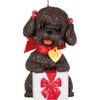 2024 Puppy Love Poodle