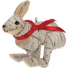 Birch Hare