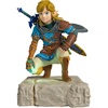 Tears of the Kingdom Link