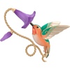 Allen's Hummingbird