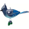 Mini Steller's Jay