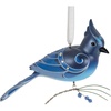 Steller's Jay