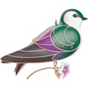 Violet-Green Swallow