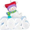 A Snowy 2026