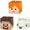 Alex  Steve  and Arctic Fox