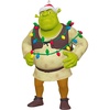 Shrek and to All a Gross Night