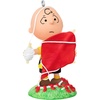 Good Grief  Charlie Brown!