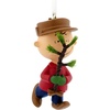 Charlie Brown and Tree
