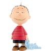 Linus with Blanket