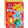 Pikachu  Squirtle  Charmander  Bulbasaur
