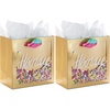 1 Count (Pack of 2)