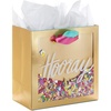 1 Count (Pack of 1)