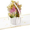Yellow  Pink and White